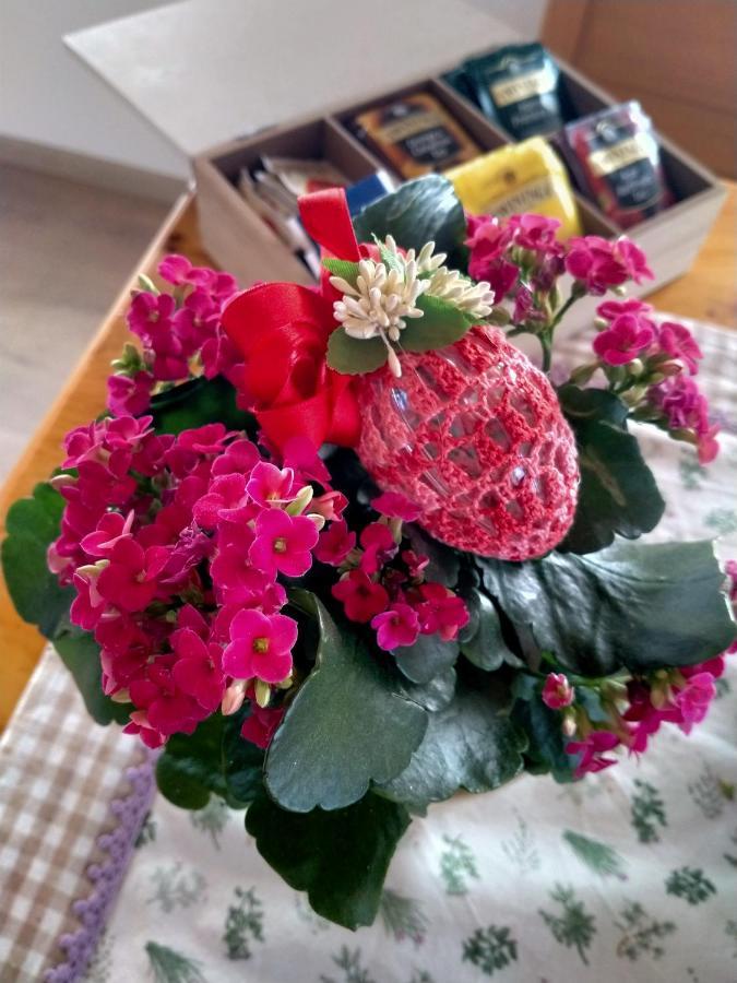 Antico Melo B&B Vignole Zewnętrze zdjęcie