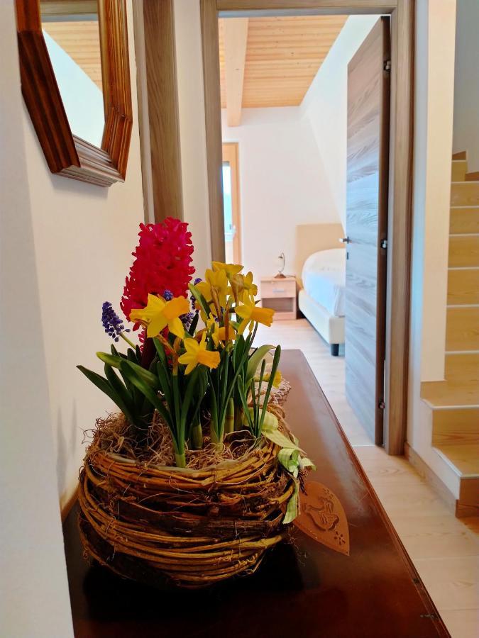 Antico Melo B&B Vignole Zewnętrze zdjęcie